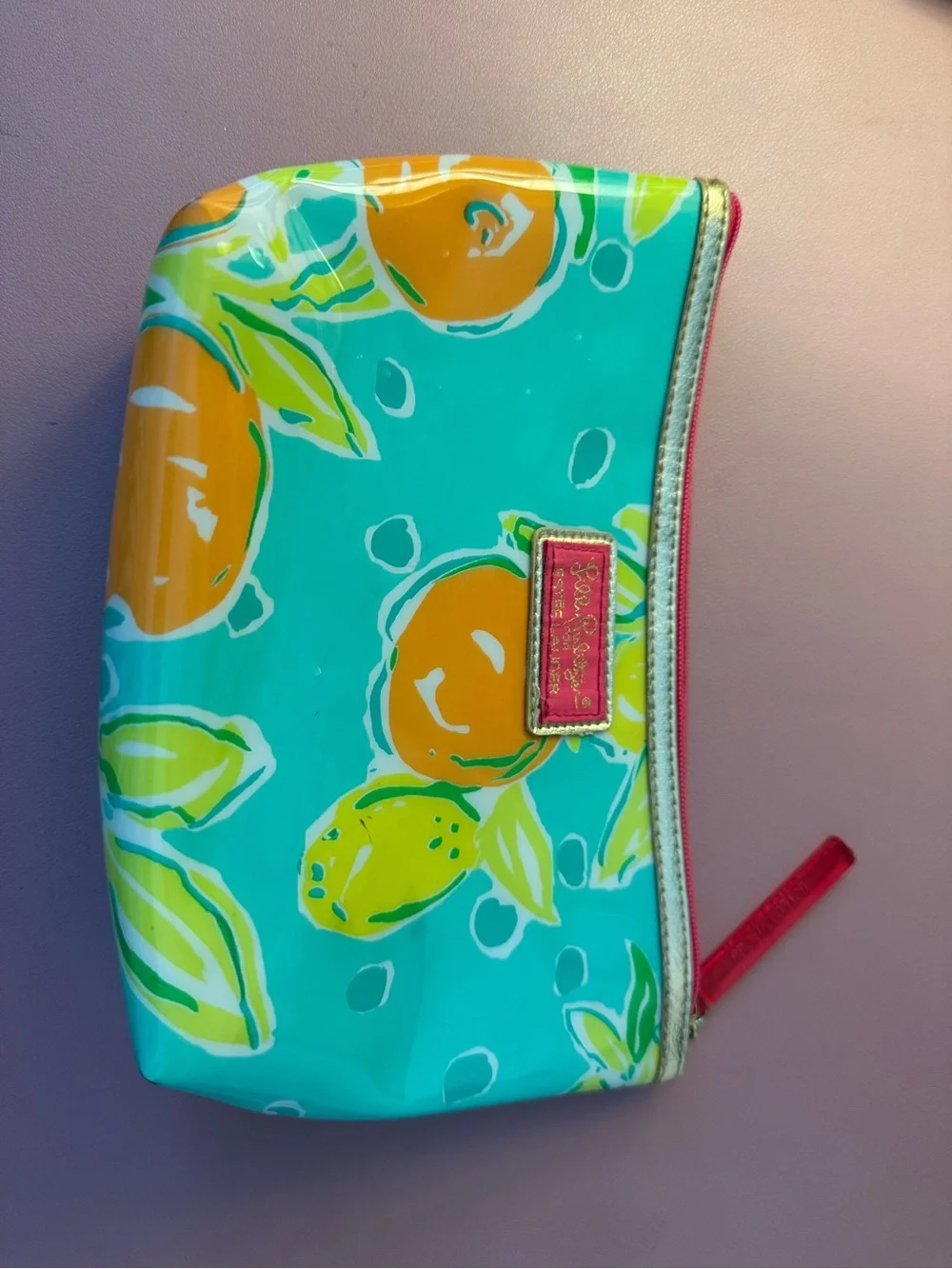 Lilly Pulitzer Teal Citrus Zip Pouch with Pink Trim